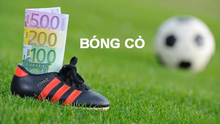 Cá cược bóng cỏ