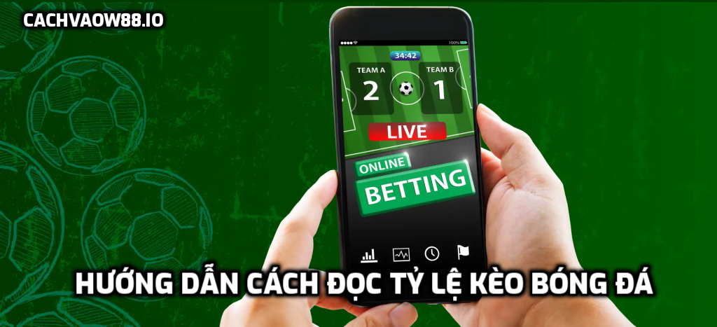 Hướng dẫn cách đọc tỷ lệ kèo bóng đá